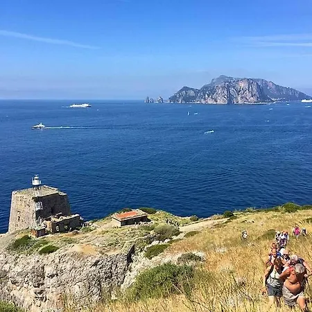 La Zagara Bianca *